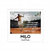 Магнит NICE SHOT