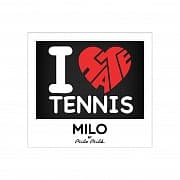 Магнит  I LOVE AND HATE TENNIS